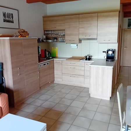 Apartman Lipno A12 Lipno nad Vltavou Dış mekan fotoğraf